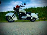 Kawasaki VN 800  - Angebote
