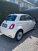 Fiat 500 weiß - TÜV 01/2028 - Fiat 500: Weis