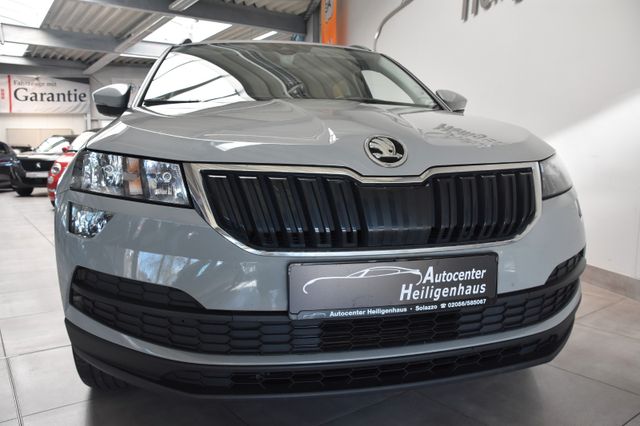 Skoda Karoq 1.6TDI Ambition Klima Sitzhz Tempo DAB PDC