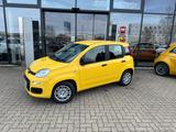 Fiat Panda 1.0 Hybrid Icon 5Sitzer+Parksensoren - Fiat Panda: Sitzer