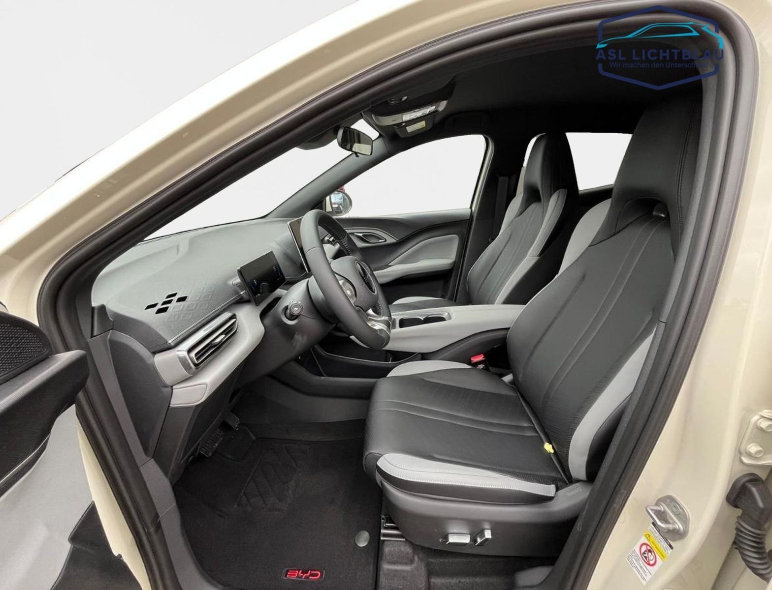 BYD DOLPHIN SURF