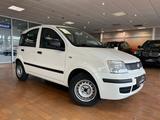 Fiat Panda 1.2 8V Classic - Fiat Panda Classic