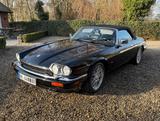 Jaguar XJS V12 6.0 Cabriolet 52k km, perf. dokumentiert - gebrauchte Jaguar XJS aus dem Jahr 1995