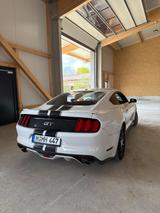 Ford Mustang 5.0 V8 GT 440 PS! Guter Zustand! TÜV neu - Ford Mustang in München