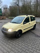Fiat panda 2009 tuv neu - Fiat Panda Gebrauchtwagen in Aachen