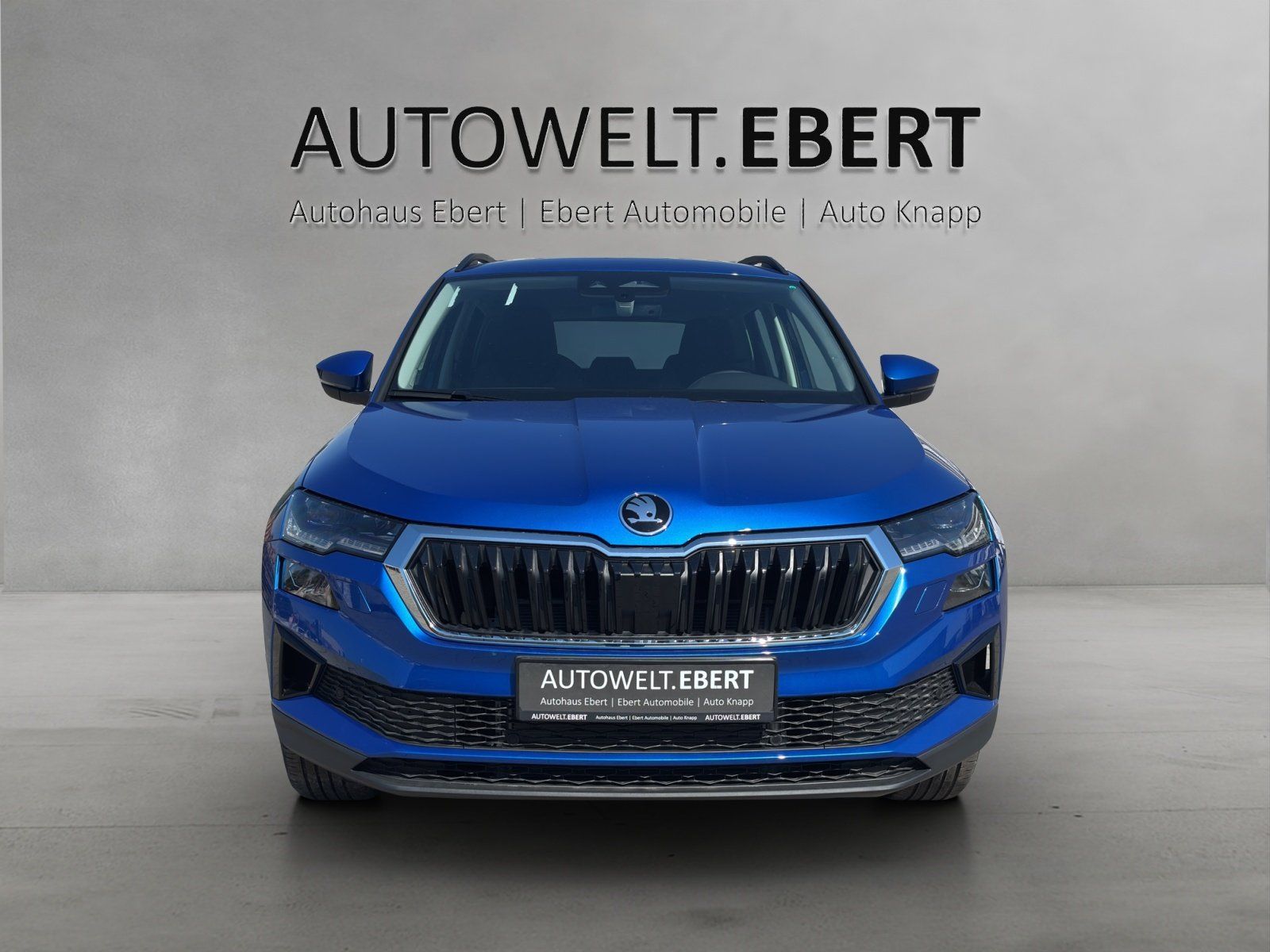 Fahrzeugabbildung SKODA Karoq Balance 1,5 TSI 110 kW DSG MATRIX/RFK/AHK