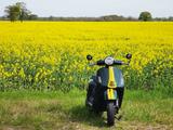 Vespa GTS 300 hpe Racing 60ies - VESPA GTS 300 HPE