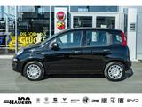 Fiat Pandina ICON Hybrid 1.0 GSE TEMPOMAT PDC LANE KL - Fiat New Panda: Kleinwagen