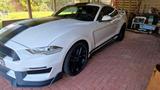 Ford Mustang 5.0 GT, Shelby-350 BodyKit, TÜV+Öl Neu - Ford Mustang: Gt350