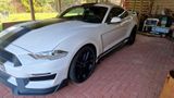 Ford Mustang 5.0 GT, Shelby-350 BodyKit, TÜV+Öl Neu - Ford Mustang: Gt350 Shelby