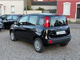 Fiat Panda 1.2 Easy Klima Scheckheft Euro6 TOP 2.Hand - gebrauchte Fiat Panda aus dem Jahr 2019