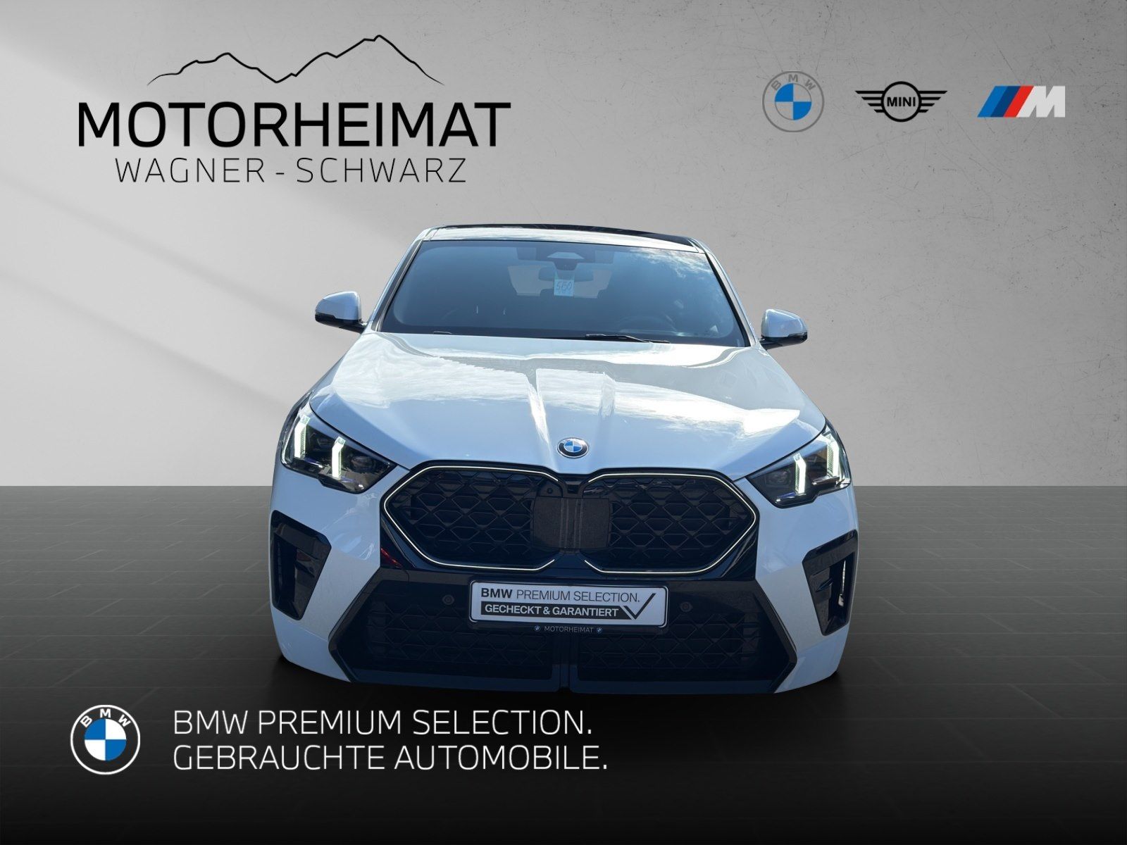 BMW X2 xDrive20d M SportPro 21 Pano ACC 360° HUD 1 foto 3