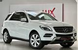 Mercedes-Benz ML 250 AMBIENTE*COMAND*Bi-XENON*R-KAM*SCHIEBEDAC - Mercedes-Benz ML-Klasse mit Diesel-Antrieb