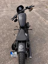 Harley-Davidson Iron 883/1200 - HARLEY-DAVIDSON 883 1200