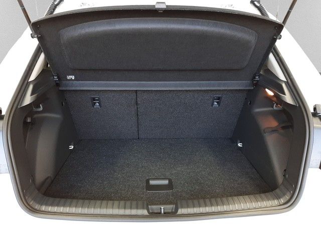 Fahrzeugabbildung Skoda Fabia Tour 1.0TSI DSG AHK Winterpaket 130Jahre