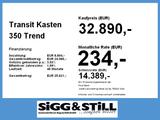 Ford Transit Kasten 350 Trend 2.0 L2 AHK*SHZ*LHZ*PDC* - Kehrmaschine