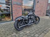 Harley-Davidson Sportster XL883N Nightster mit Extras/Auspuff - Harley-Davidson Motorräder in Bielefeld