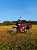 Honda Transalp PD06 XLV 600 - HONDA TRANSALP PD06