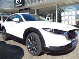 Mazda CX-30 SKYACTIV-X 2.0 M Hybrid 6AG SELECTION DES- - Mazda CX-30 Benzin Gebrauchtwagen