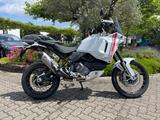 Ducati Desert X Termignoni Garantie Versand ab 234€ - DUCATI X DESERT