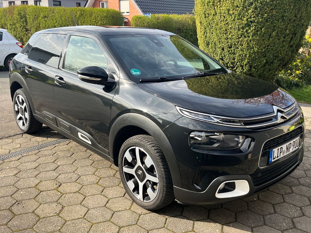 Image of Citroën C4 Cactus