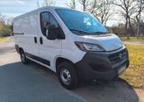Fiat Ducato 2.3 Multijet  Kasten Euro 6D  - Fiat Ducato in Wuppertal