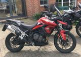 Triumph Tiger 900 GT PRO - Offers