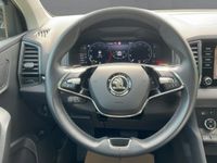 Skoda Karoq - Vorschau Bild 10