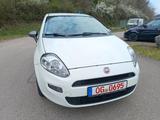 Fiat Punto Young, TÜV02/27, 87TKM, Klima, gepflegt - Fiat Punto mit Benzin-Antrieb: Limousine, Schaltgetriebe