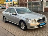 Mercedes-Benz E 220 CDI BlueEFFICIENCY ELEGANCE - Mercedes-Benz E 220: Cdi Elegance