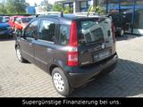 Fiat Panda 1.2 8V Dynamic,KLIMA,GARANTIE,SERVO - Fiat Panda aus 2010: Allradantrieb