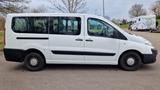 Peugeot Expert Tepee 9 Sitzer, Neuer TÜV, wenig KM - Peugeot Expert Tepee: Van