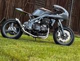Triumph Daytona  955 Cafe Racer Tausch möglich...  - TRIUMPH 955 DAYTONA