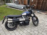 Triumph Street Scrambler Goldline - TRIUMPH STREET SCRAMBLER