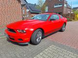 Ford Mustang USA 3.7L 309PS BJ 2010 Top Zustand - : Sportwagen, Usa