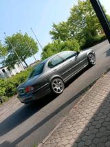 Jaguar X Type 3.0 Allrad Schalter - Jaguar X-Type: 3.0