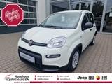 Fiat Panda MY24 Hybrid KomfortPaket Bluetooth Apple C - Fiat Panda Vorführfahrzeuge