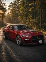 Ford Mustang 5.0 Ti-VCT V8 GT Auto GT 6Spd - Ford Mustang: V6