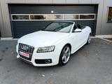 Audi S5 3.0 TFSI S tronic quattro Cabriolet <-------- - Audi S5 aus 2010: Cabrio