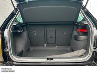 Skoda Karoq - Vorschau Bild 8