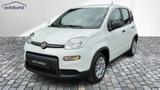 Fiat Panda 1,0 Hybrid (MHEV) Base DAB ES PDC Radio - Fiat Panda Gebrauchtwagen in Wuppertal