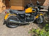 Triumph Thunderbird Sport 900 (Zahnriemen) - TRIUMPH THUNDERBIRD SPORT