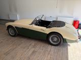 Austin Healey 100 / 6 - Austin Healey Gebrauchtwagen