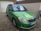 Skoda Fabia 1.4l TSI DSG RS  - Skoda Fabia: Grün, RS