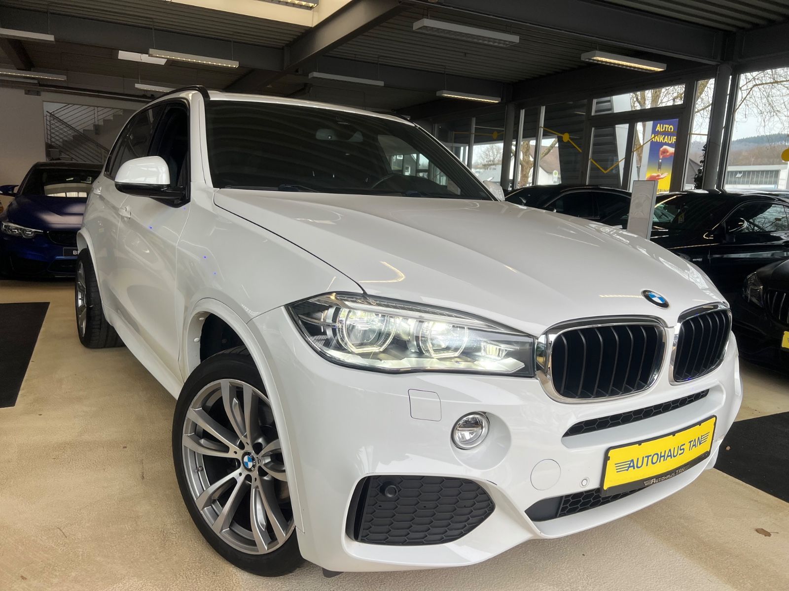 Fahrzeugabbildung BMW X5 xDrive 30 d M Sport Paket