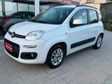 Fiat Panda 1.3 MJT S&S LOUNGE OK NEOPATENTATI - Fiat Panda LOUNGE mit Diesel-Antrieb