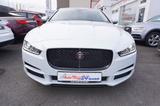 Jaguar XE 25T Portfolio *nur 8.300KM*1.Hand*TOP Ausst. - Jaguar XE Gebrauchtwagen