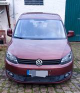 Volkswagen Caddy 2.0 TDI Roncalli Edition (Garagenfahrzeug) - Volkswagen Caddy: Roncalli Edition