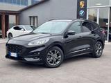 Ford Kuga 2.0 EcoBlue Hybrid 150 CV 2WD ST-Line - Ford Kuga Hybrid (Diesel/Elektro)