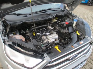 Ford EcoSport Titanium PDC + Kamera + Allwetter